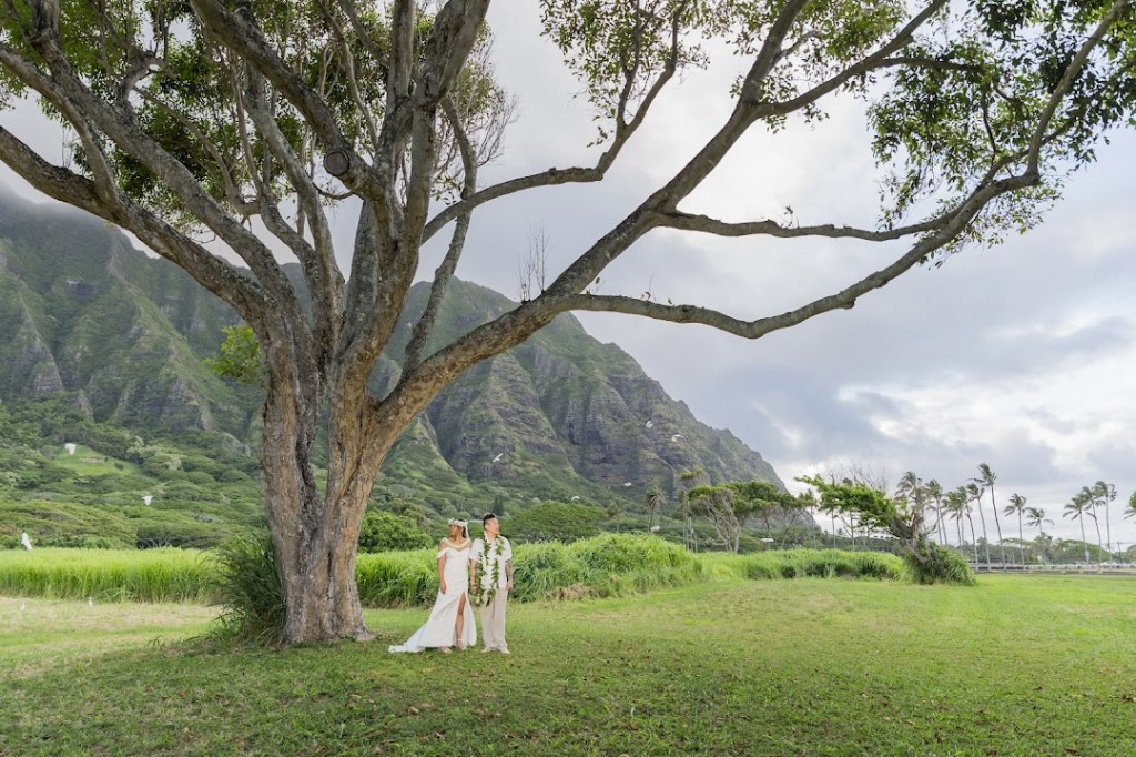 Sara and Eric on their wedding day in Hawaii
